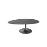 Alisse - Table basse irrégulière 