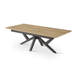 XXL - Table de séjour extensible 